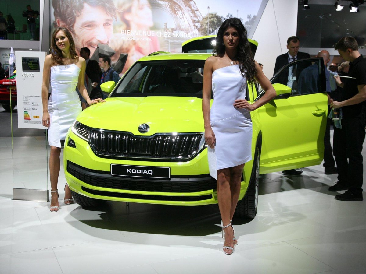 Фото Октавия в автосалоне