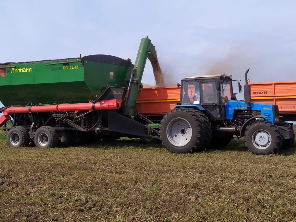 Лилиани бункер перегрузчик