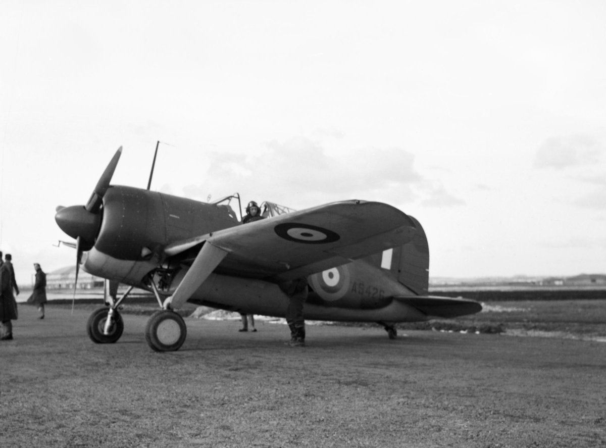 Brewster f2a Buffalo