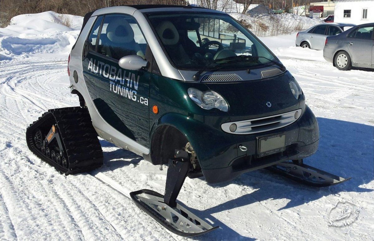 Снегоход ТТМ-1901 «Беркут 2»
