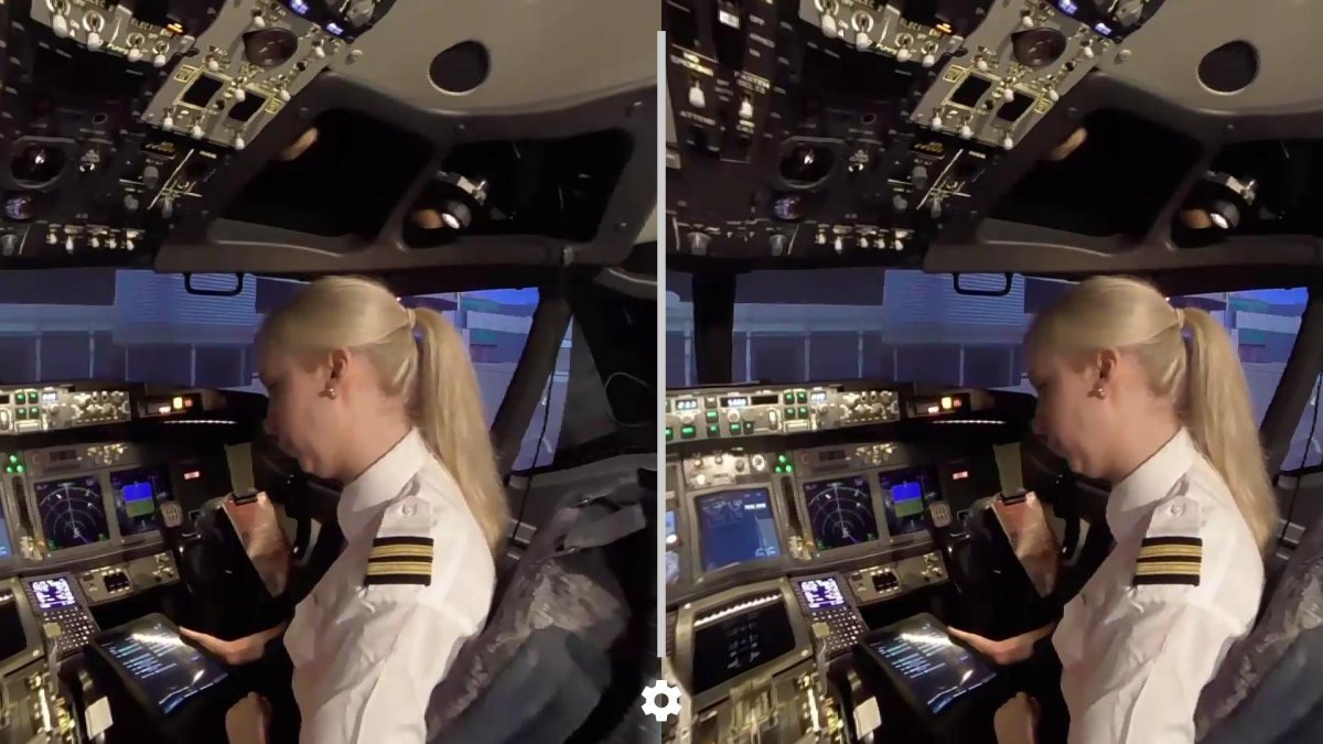 Сквок в авиации что это