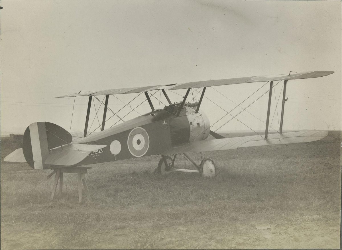 Сопвич кэмел