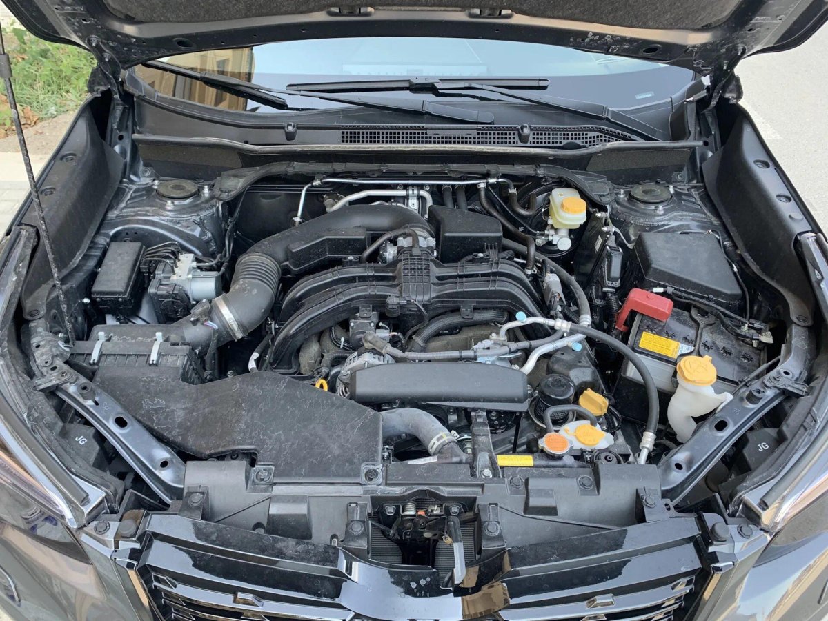 Подкапотка 447 2019