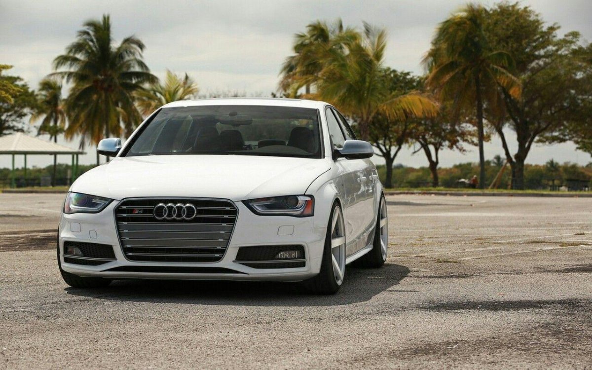 Ауди а6 белая