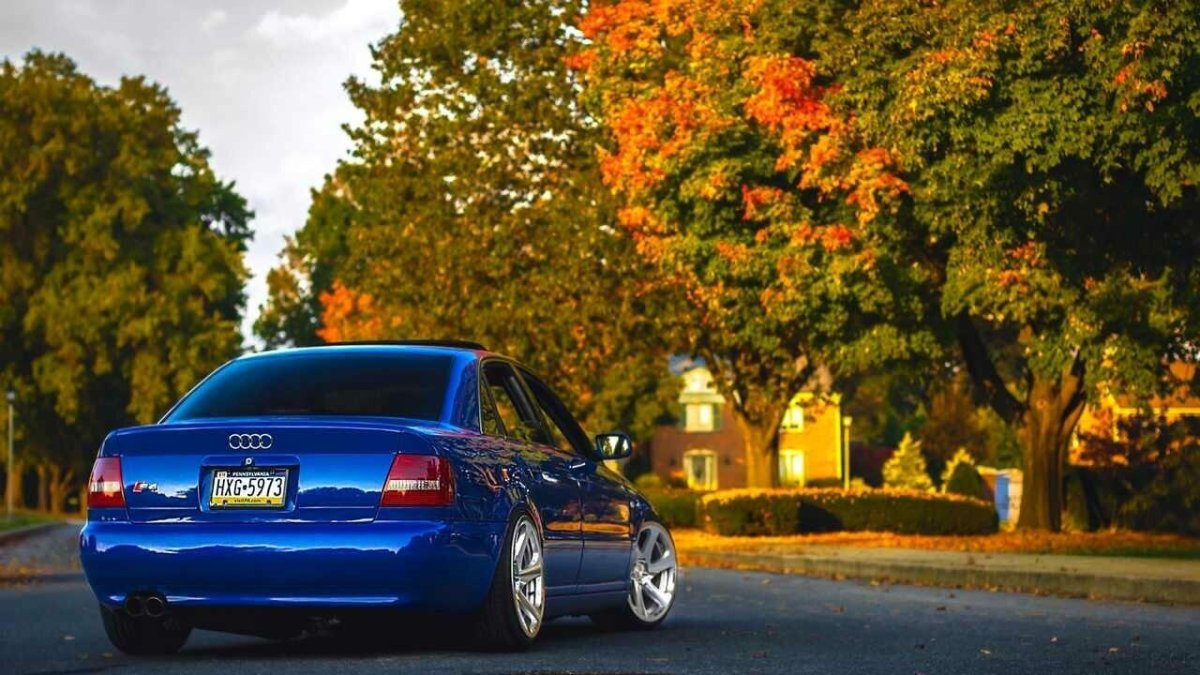 Audi a4 b5 Blue