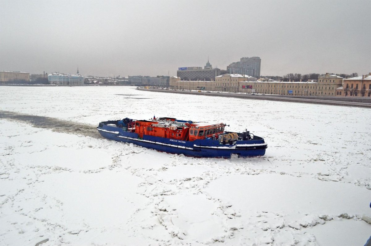 Невская застава ледокол