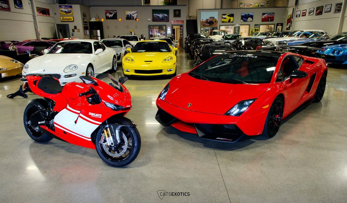 Ducati Lamborghini