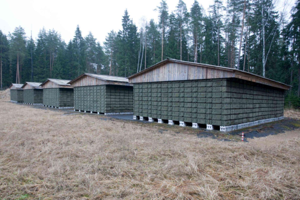 51 Арсенал Грау МО РФ