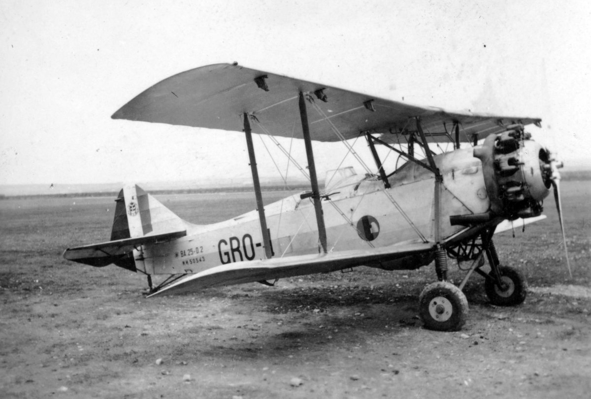 Breda ba.25