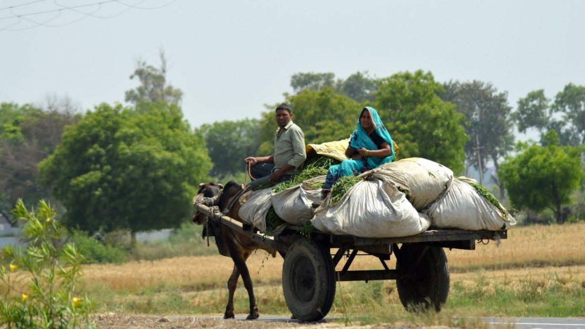 Индия деревня