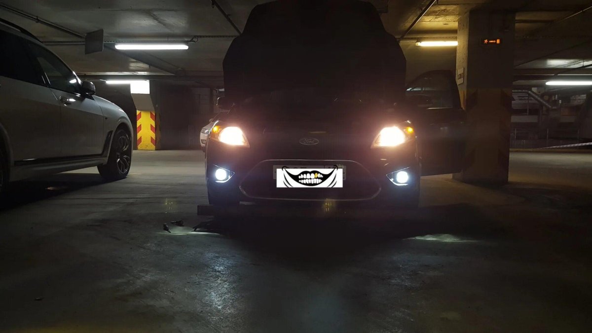 Salman ПТФ Focus 2