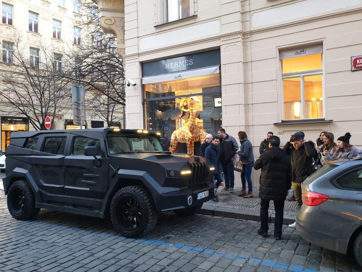 Prombron Black Stallion