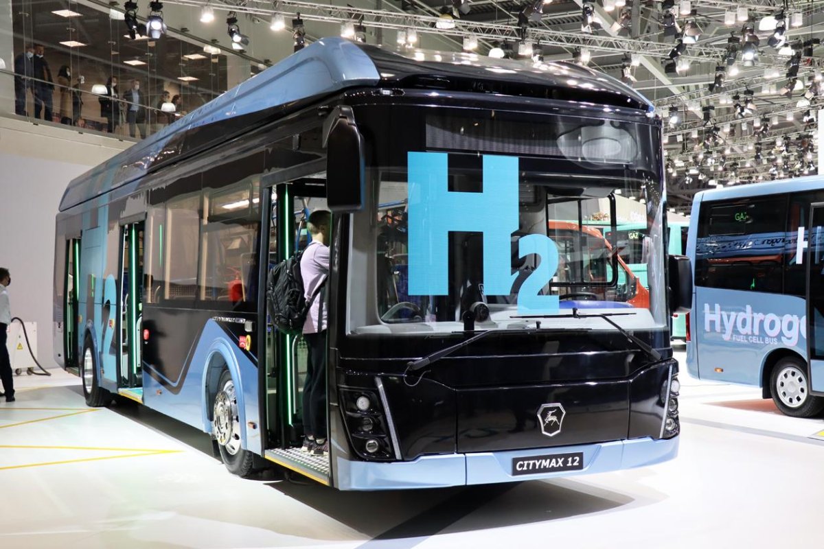 ГАЗ ситимакс 12