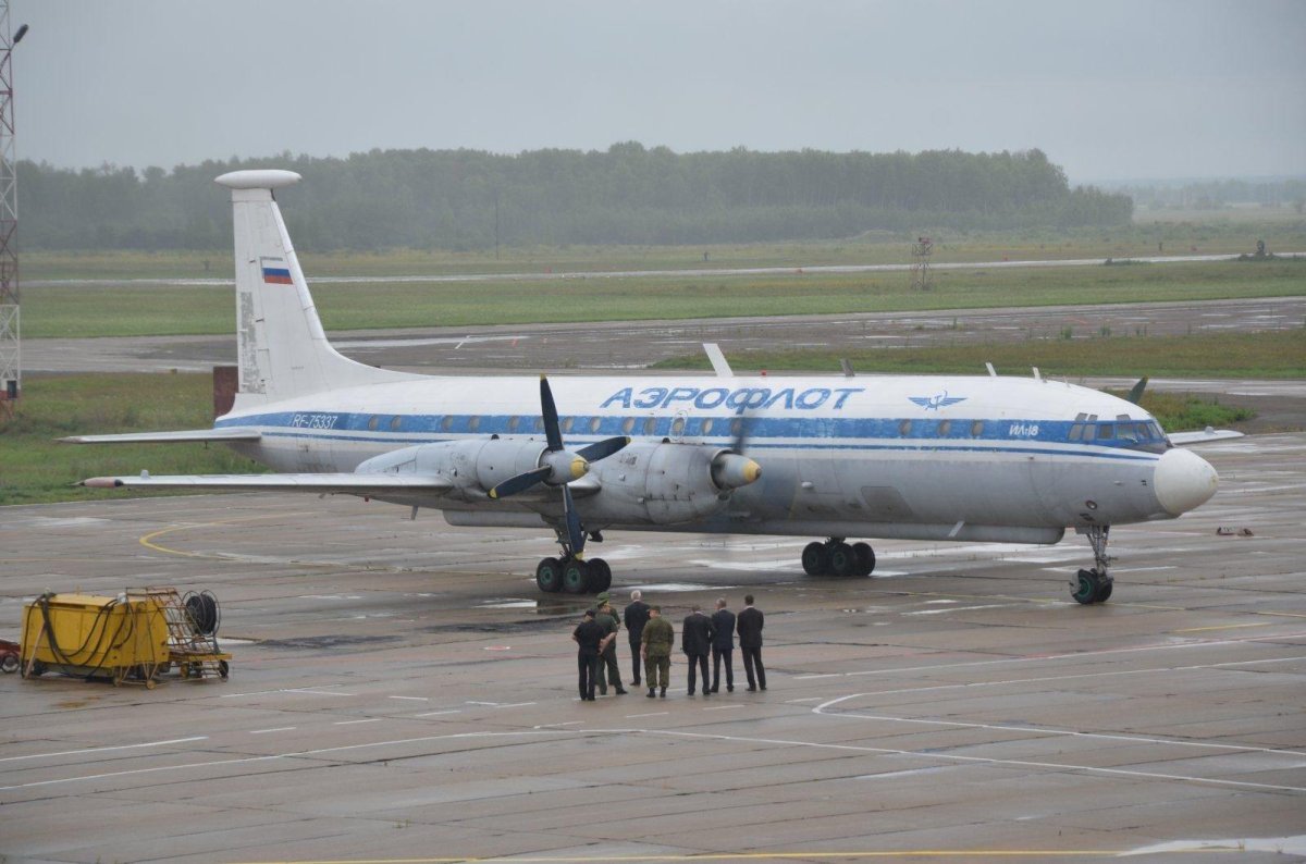 Ил 22 Бизон фото