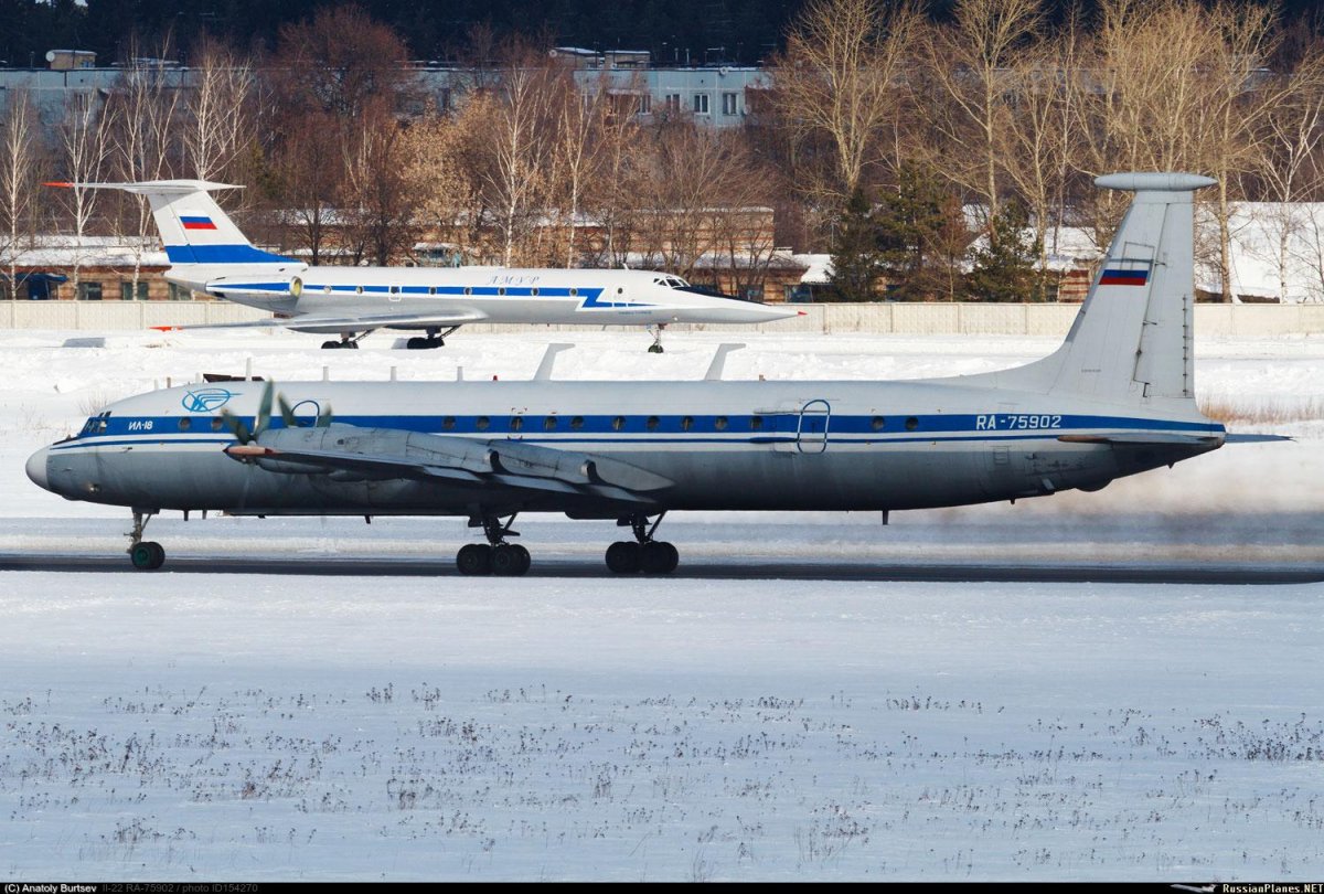 Ил 22 Бизон фото