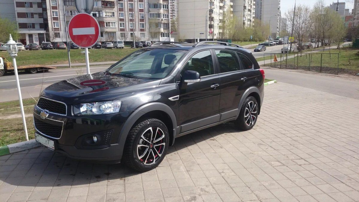 Каптива с красной ленточке