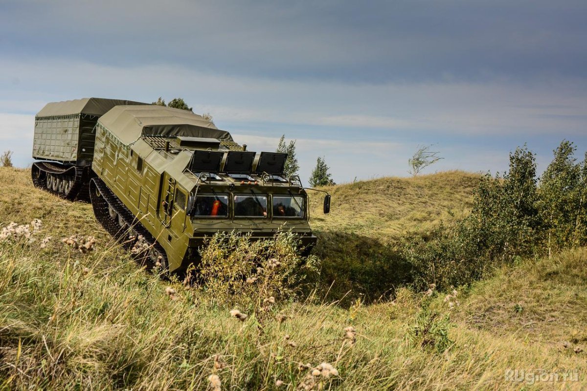 Витязь ДТ-30пм