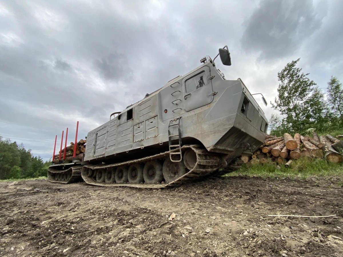 ДТ-30 Витязь