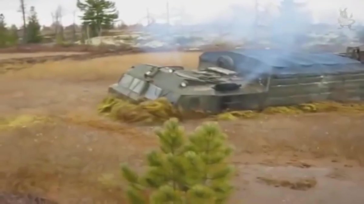 Снегоболотоход ДТ-30 Витязь