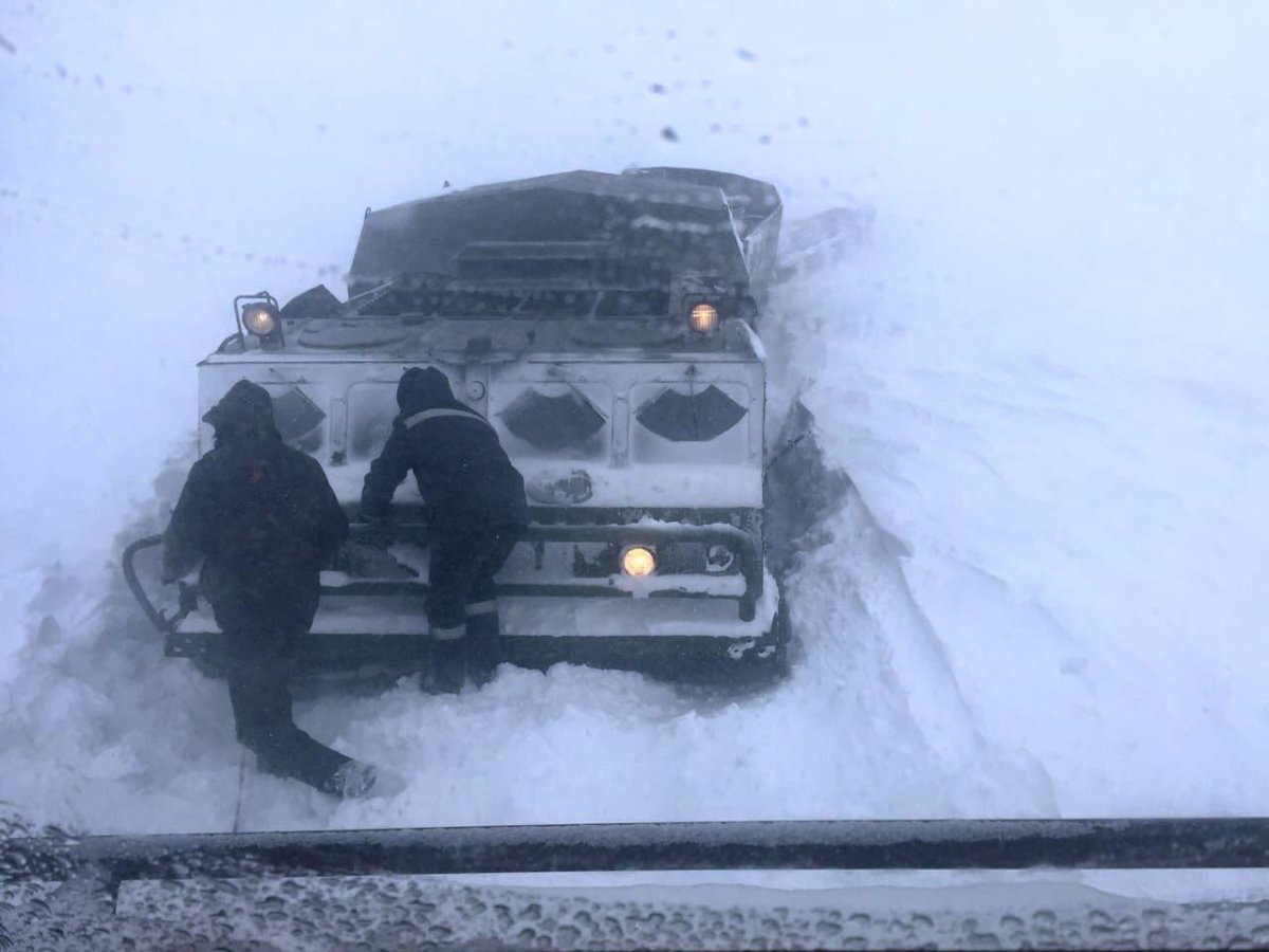 Вездеход ДТ-30пм Витязь Арктический камуфляж