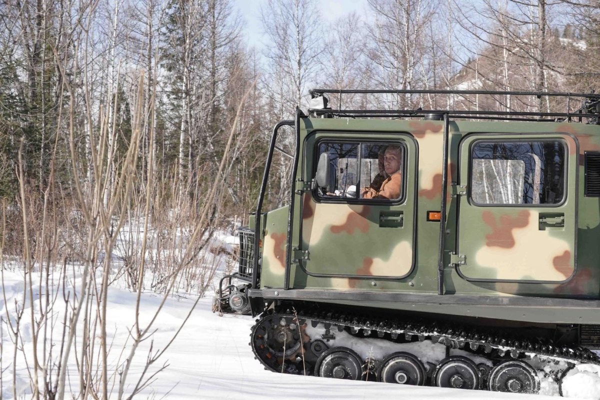 Bandvagn 206 (BV-206 «Лось»