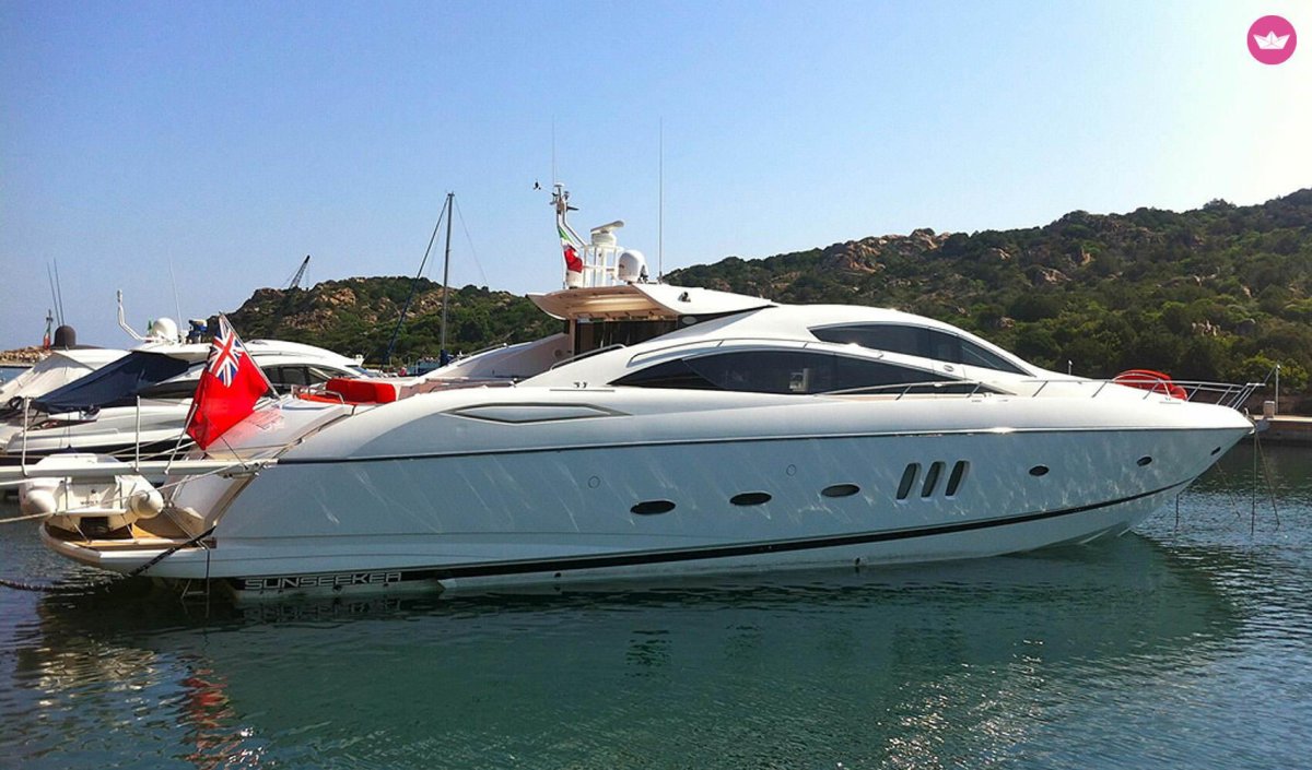 Сансикер предатор