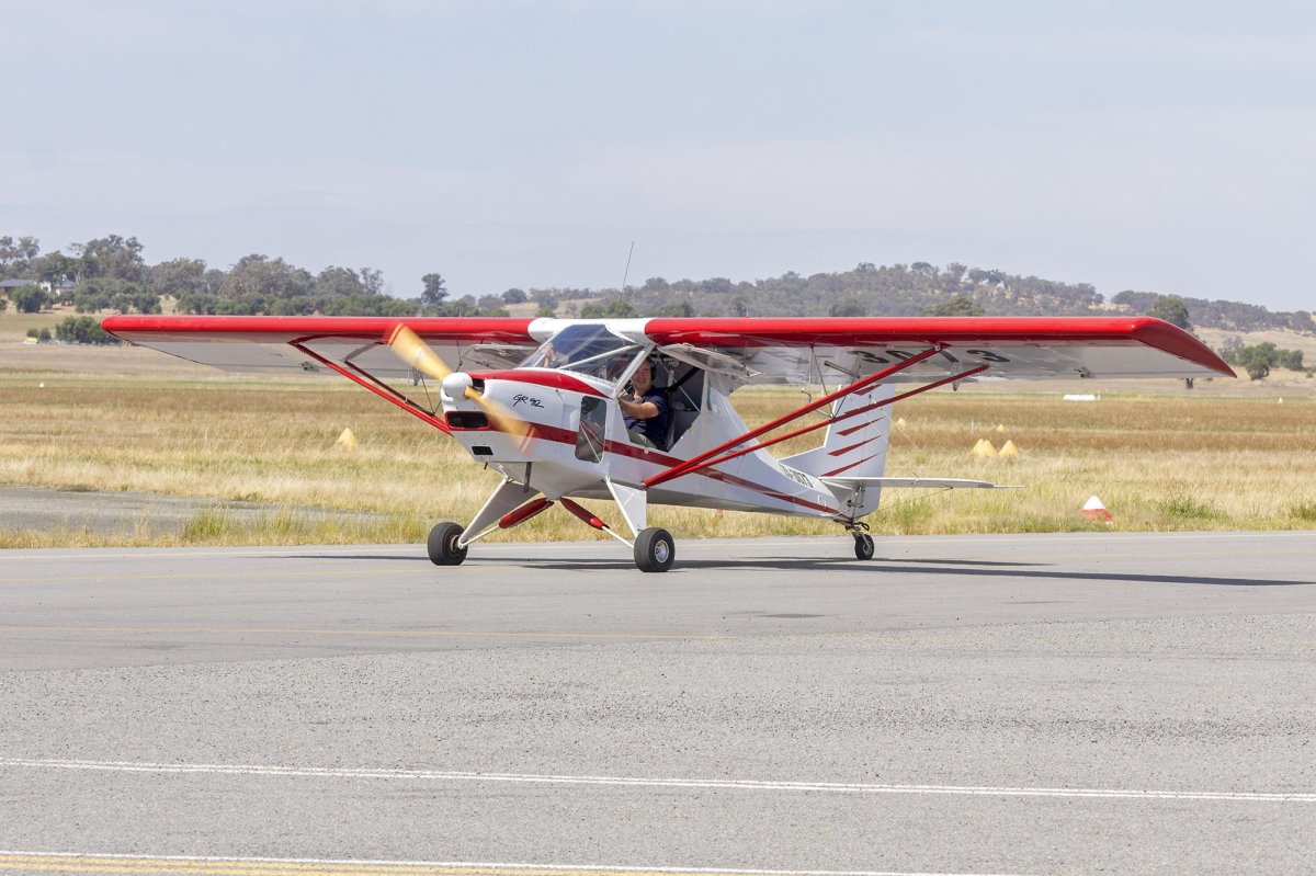 Australian Lightwing