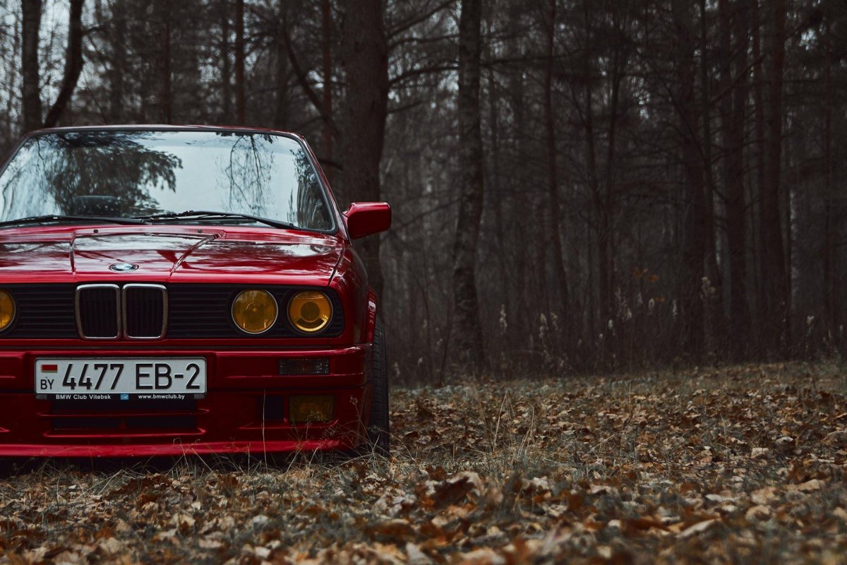 БМВ е34 в лесу