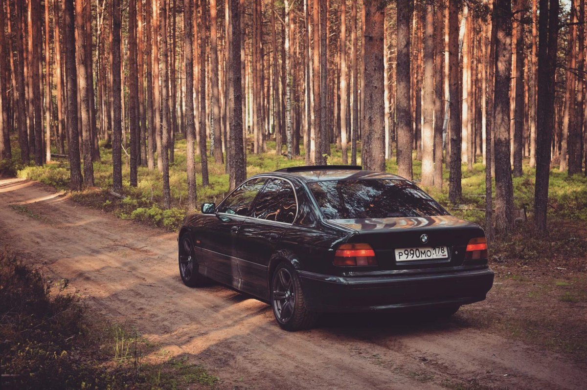 БМВ е34 в лесу