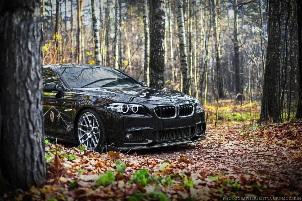 БМВ е60 в лесу