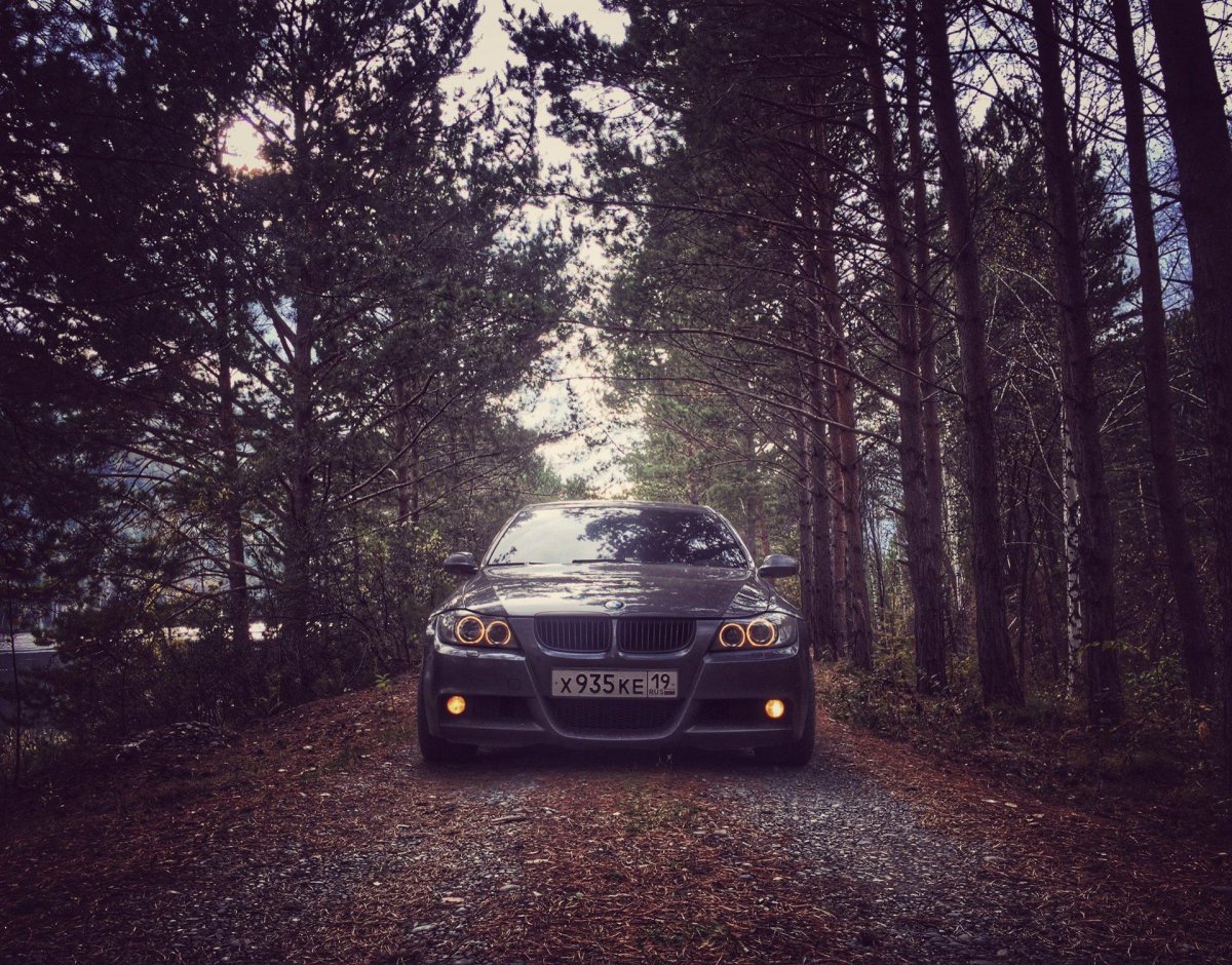 БМВ х5 в лесу