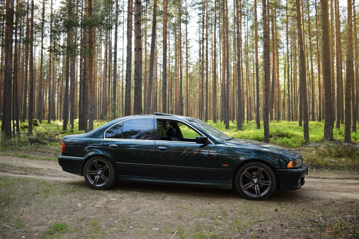 БМВ Старая в лесу