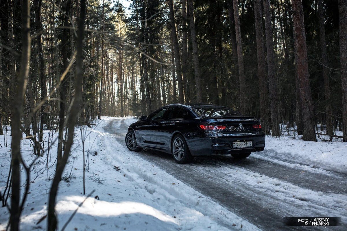 БМВ леса фото