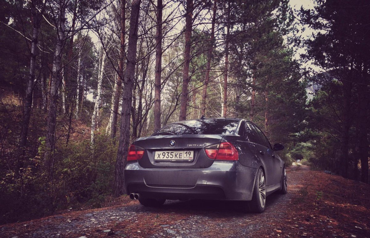 Машина в лесу