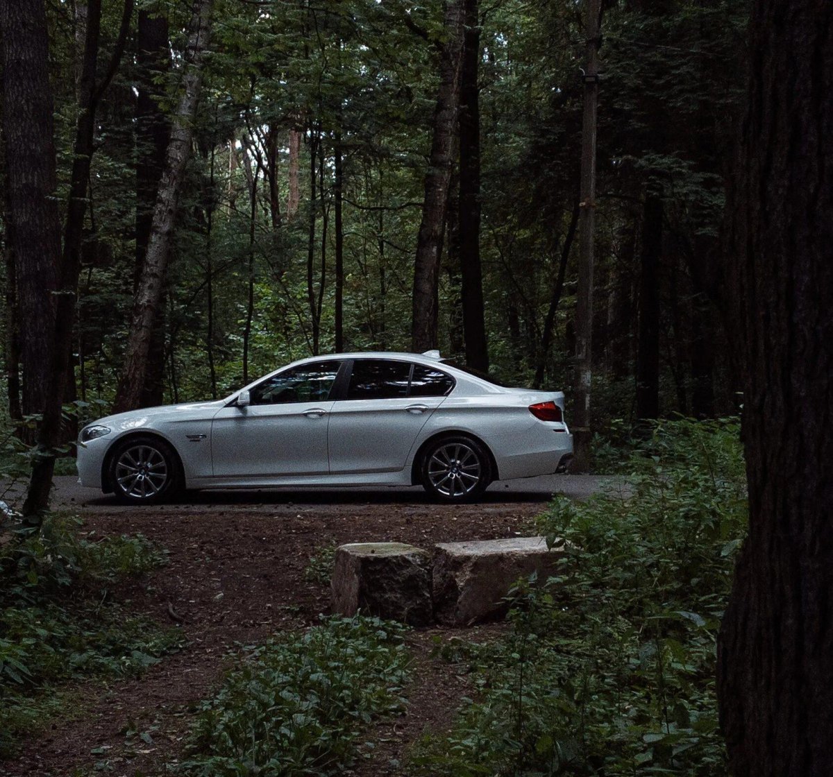 Белая машина в лесу