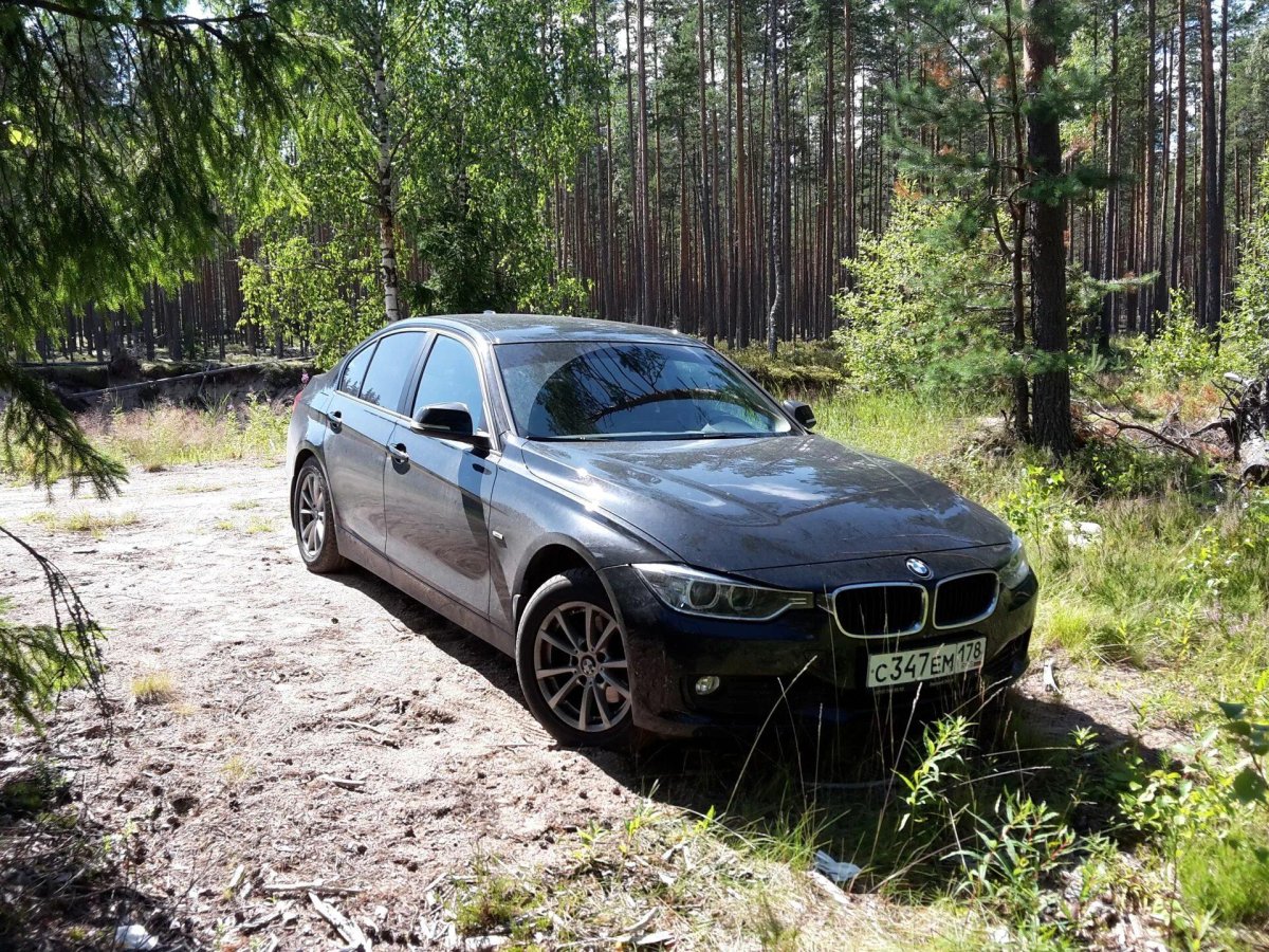 BMW x6 2014 в лесу