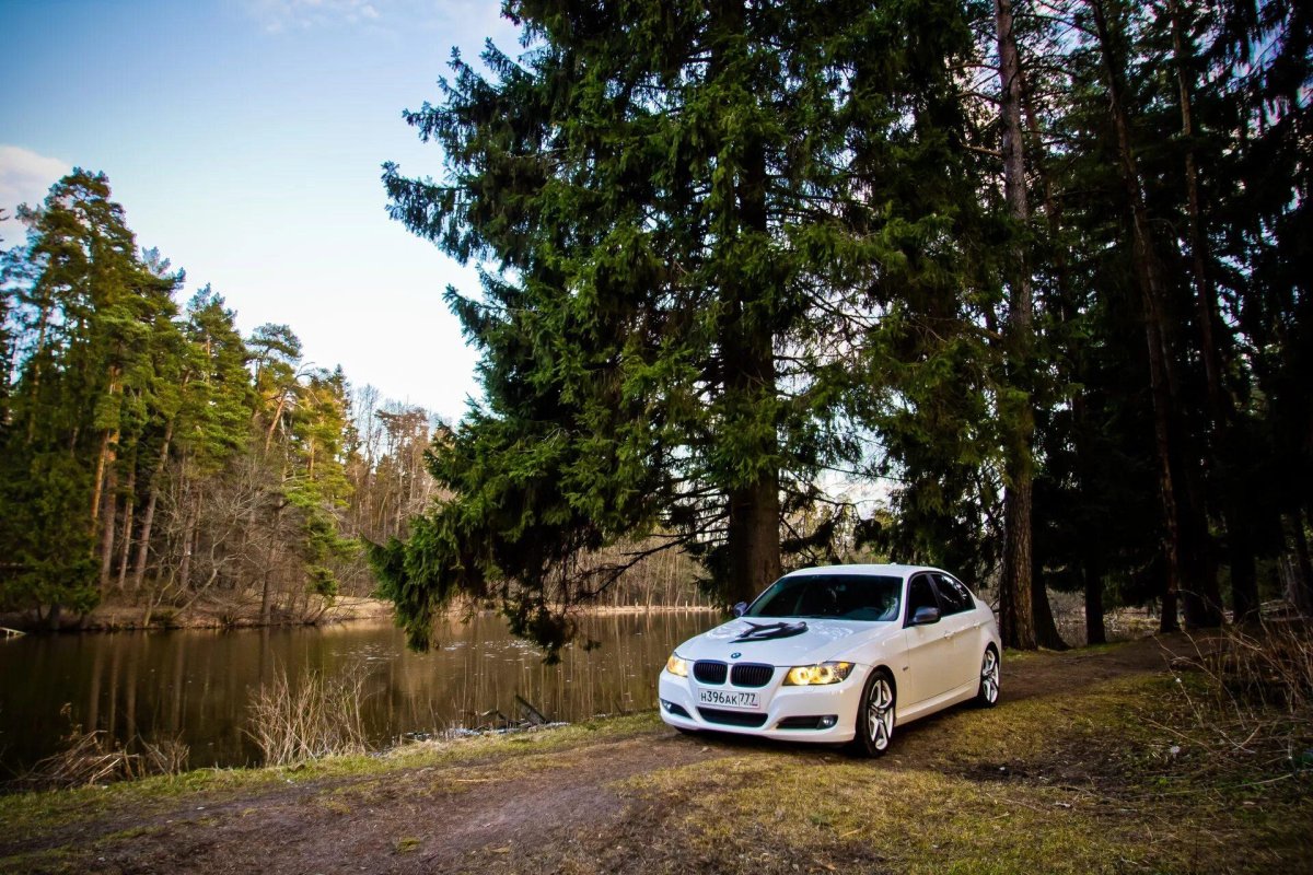 Машина в лесу