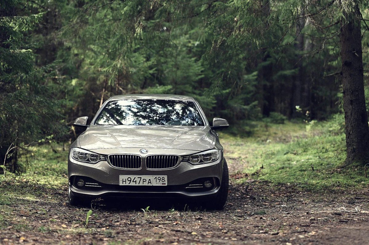 BMW В лесу