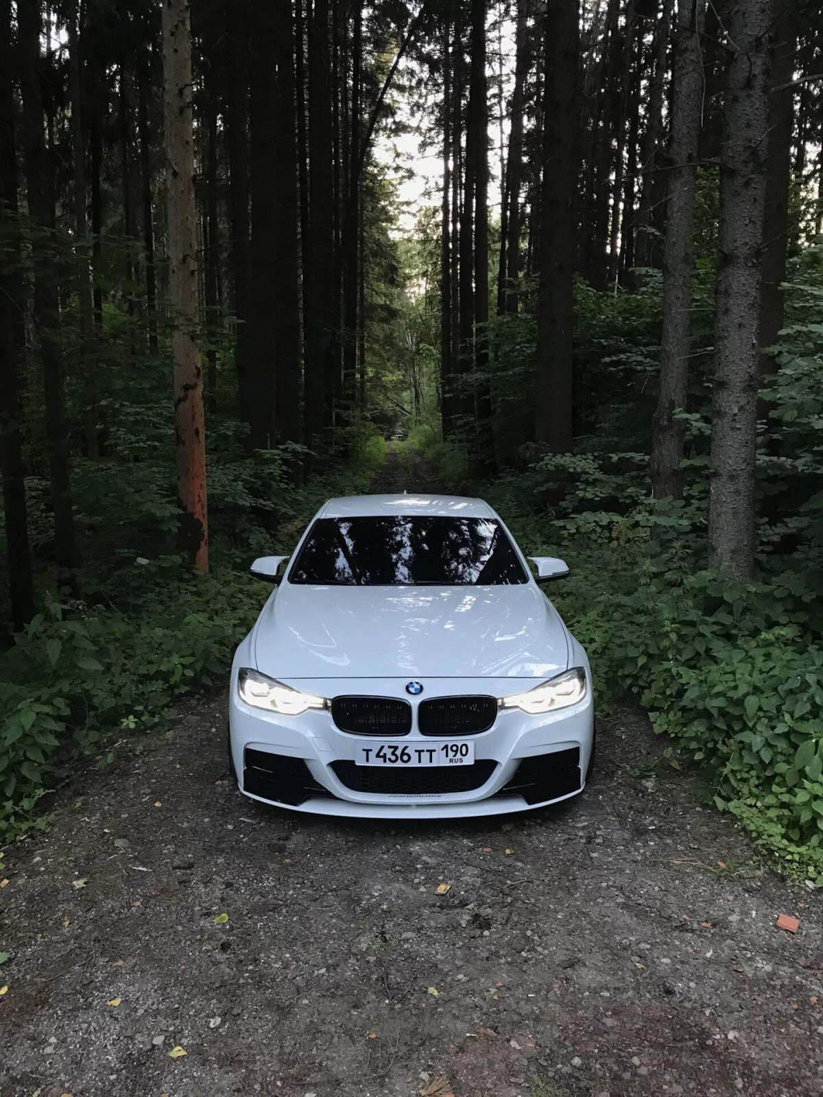 Белая БМВ В лесу