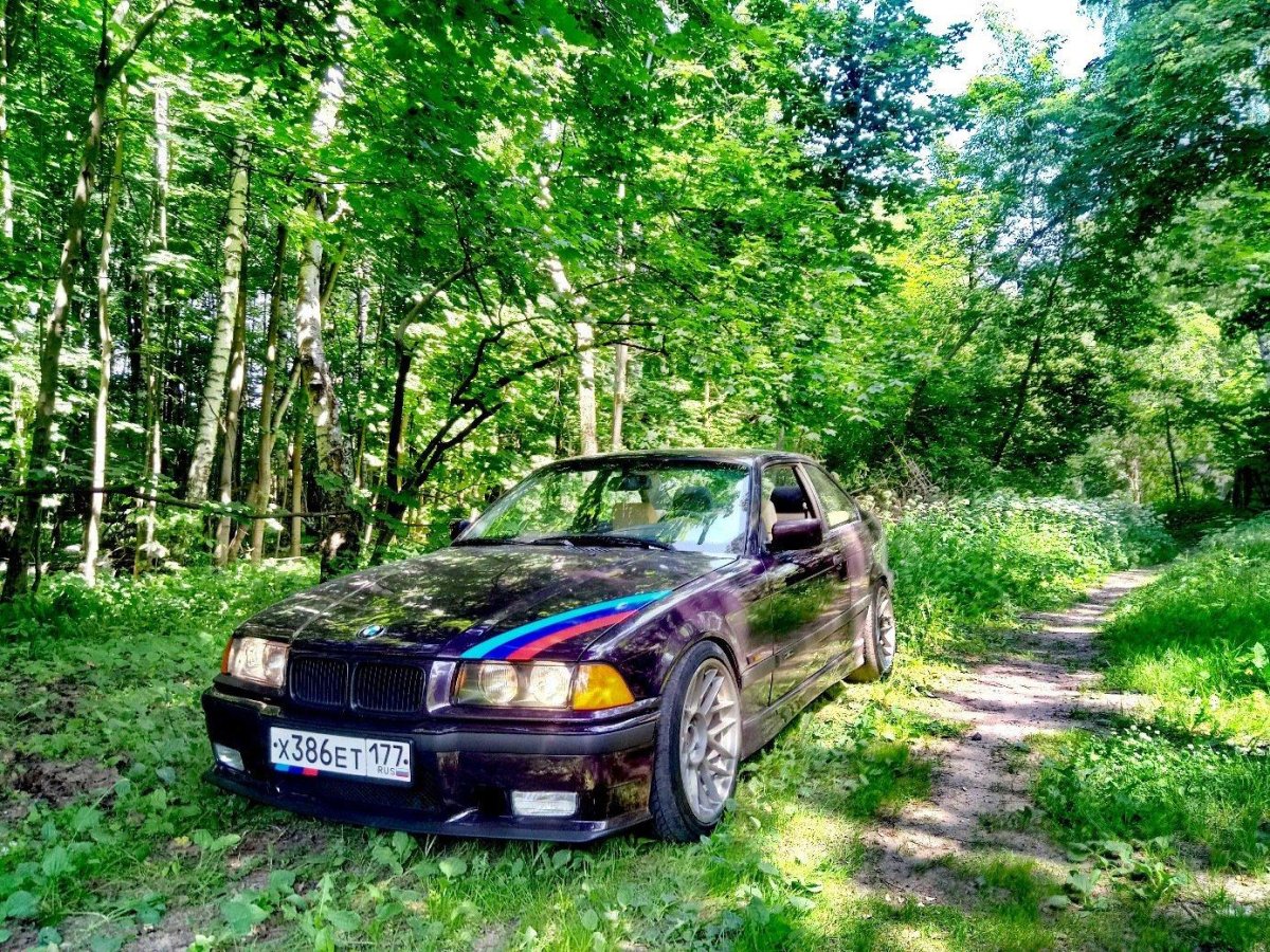БМВ 3 В лесу