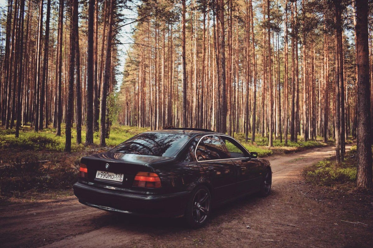 BMW e38 лес
