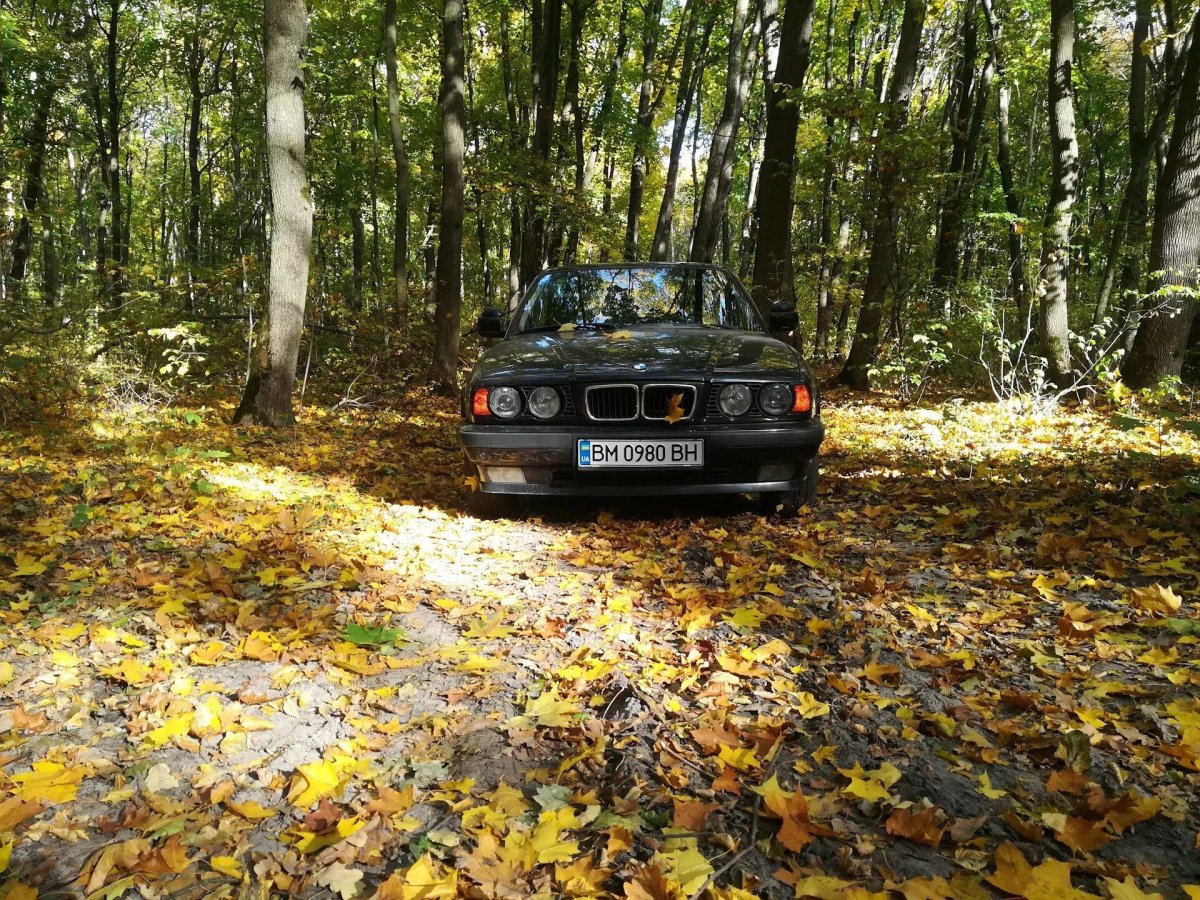 BMW e34 в осеннем лесу