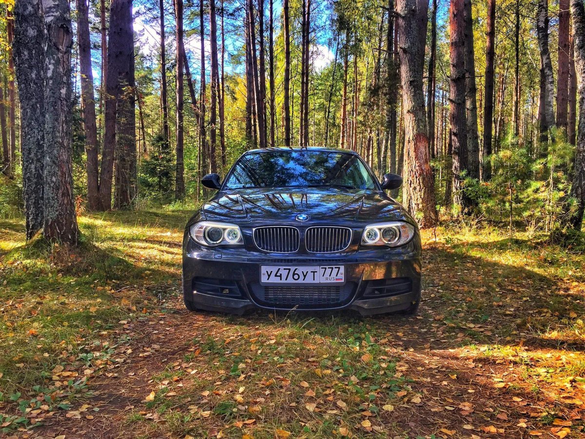 БМВ х5 в лесу