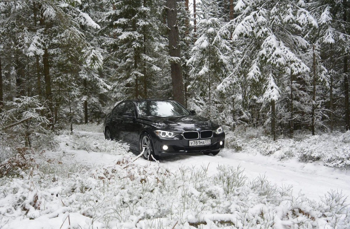 Машина в зимнем лесу