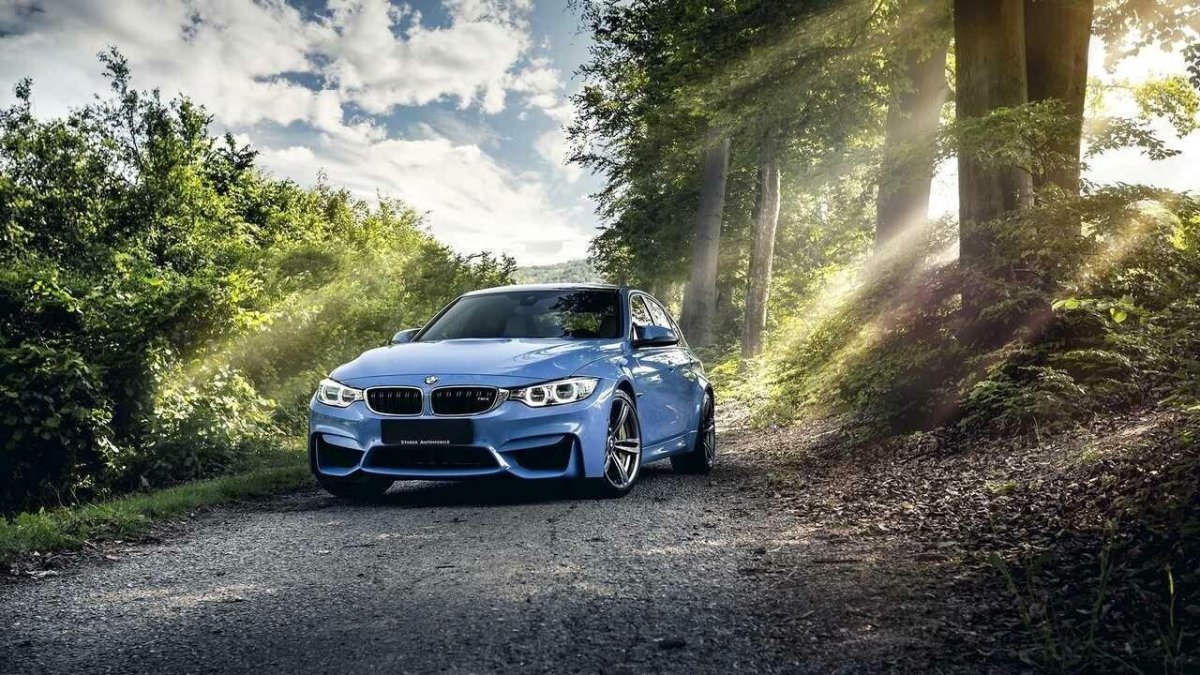 БМВ м5 в лесу