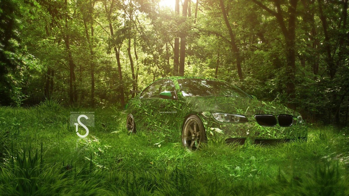 Красная БМВ В лесу