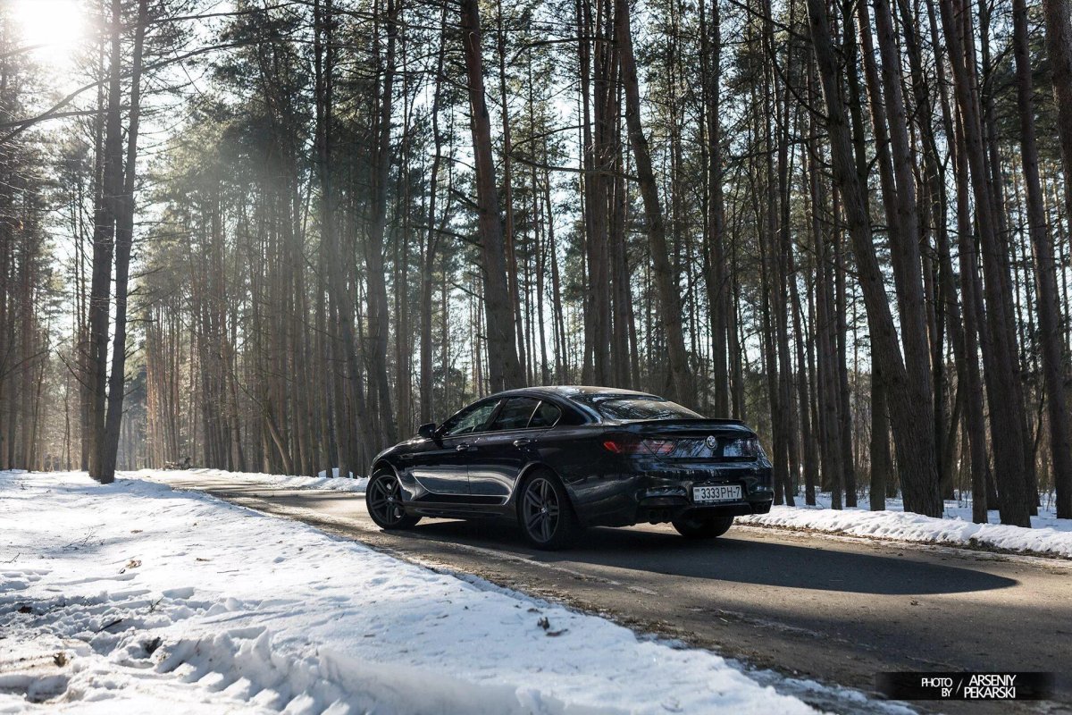 BMW В зимнем лесу