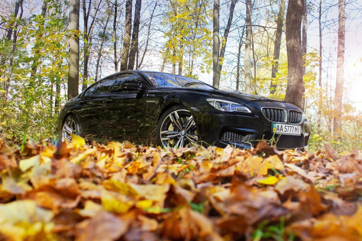 BMW m6 Kyiv осень