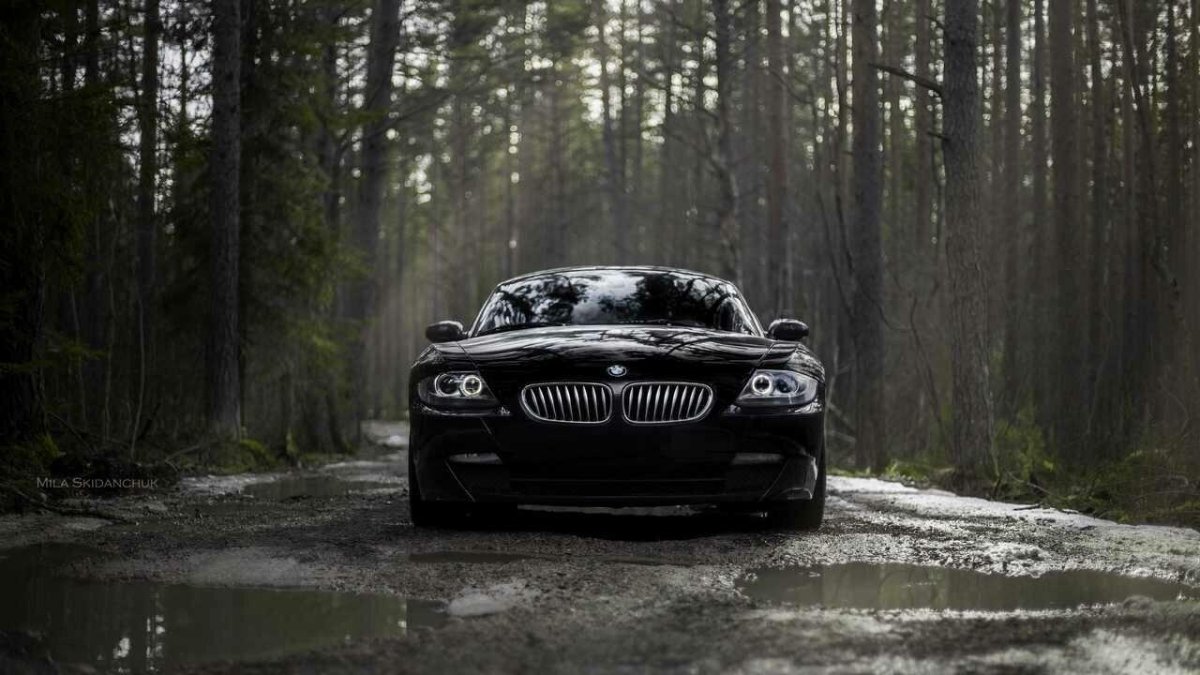 БМВ f90 в лесу