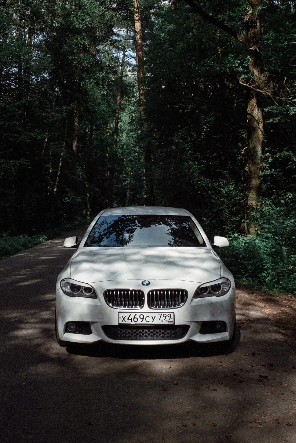 Белая БМВ В лесу
